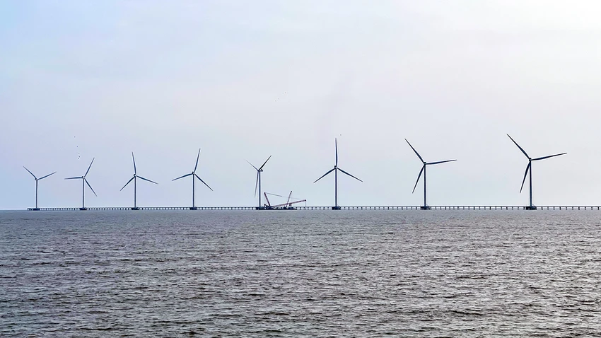dien-gio-bac-lieu-ca-mau-6.jpg