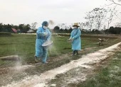 Xuất hiện 34 ổ dịch cúm gia cầm trên cả nước 
