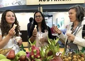 EU đóng cửa biên giới, hàng Việt bị ảnh hưởng ra sao?