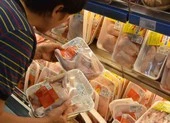 ‘Sốc’ với giá gà rẻ như rau, chỉ 8.000 đồng/kg