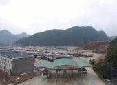 Thiết lập luồng xanh ưu tiên xuất khẩu tại cửa khẩu VN-TQ