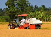 Hỏa tốc đề nghị hải quan cho xuất khẩu gạo nếp kịp thời
