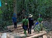 Kiểm tra hiện trường vụ phá rừng ở Gia Lai