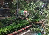 Bão số 6 suy yếu nhưng làm 77.000 hộ ở Phú Yên bị mất điện 