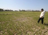 Ba thứ trưởng thay nhau ‘tuần tra’ hạn mặn miền Tây