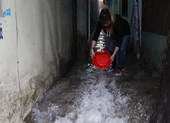 Bình Dương: 40 ha hoa màu và lúa ngập sâu sau trận mưa lớn