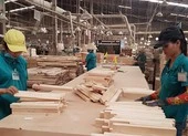 Thủy sản, gỗ gồng mình ứng phó với khách Mỹ, EU hủy đơn hàng