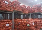 Hàng hóa chất đống vì nhiều tỉnh 'cấm' xe từ Hải Dương