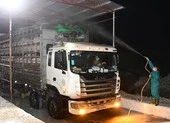 Heo sống Việt Nam mua từ Thái Lan có gì đặc biệt?