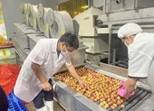 Bộ trưởng Lê Minh Hoan đi Bắc Giang kết nối, tiêu thụ quả vải 