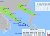 Khẩn cấp ứng phó áp thấp nhiệt đới đang mạnh thành bão