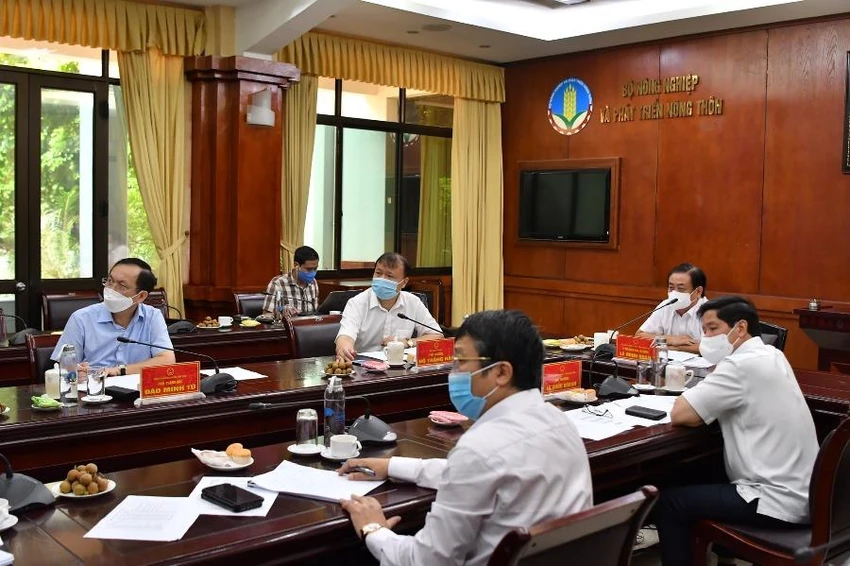 Miền Tây lúa đầy đồng, thế giới muốn mua, doanh nghiệp không giao hàng được ảnh 1