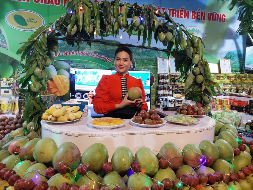 Gian hàng nông sản của huyện Yên Châu trưng bày tại Festival. Ảnh: AH Gian hàng nông sản của huyện Yên Châu trưng bày tại Festival. Ảnh: AH
