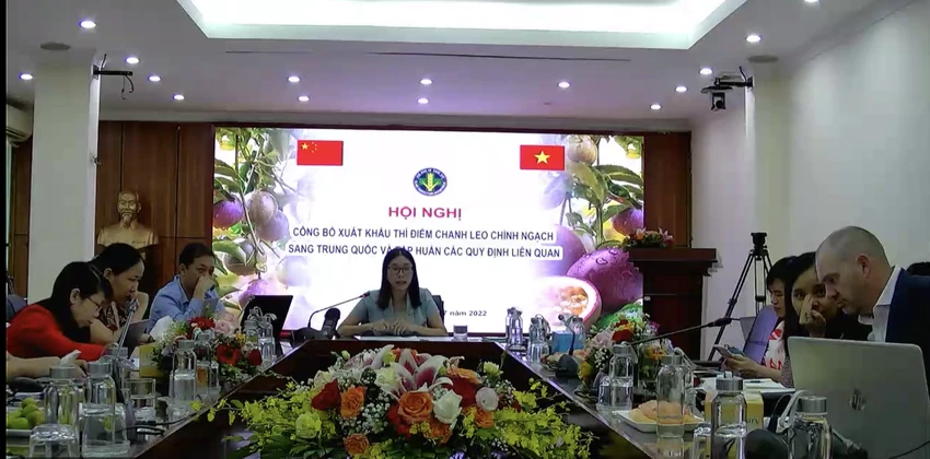 Cục Bảo vệ thực vật (Bộ NN&PTNT) tổ chức hội nghị công bố xuất khẩu thí điểm chanh leo chính ngạch của Việt Nam sang thị trường Trung Quốc. Ảnh: AH Cục Bảo vệ thực vật (Bộ NN&PTNT) tổ chức hội nghị công bố xuất khẩu thí điểm chanh leo chính ngạch của Việt Nam sang thị trường Trung Quốc. Ảnh: AH