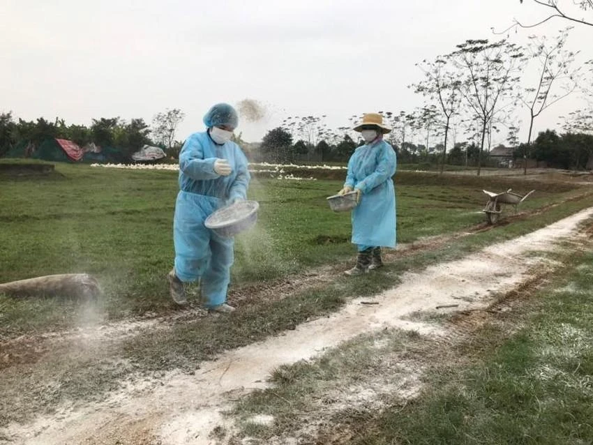 Cơ quan thú y Hà Nội tổ chức vệ sinh, khử trùng, tiêu độc môi trường phòng virus cúm gia cầm. Ảnh: AH