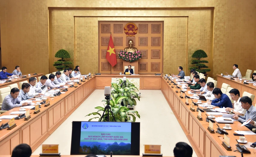 Phó Thủ tướng Lê Văn Thành chủ trì cuộc họp Hội đồng thẩm định Quy hoạch lâm nghiệp quốc gia thời kỳ 2021-2030
