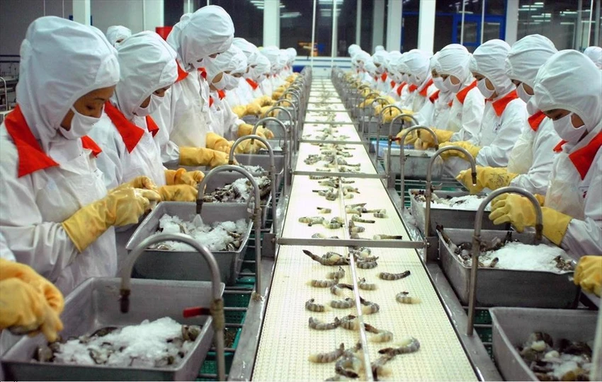 Điểm sáng trong bức tranh của ngành nông nghiệp là lần đầu tiên xuất khẩu thuỷ sản đã chạm mốc 10 tỉ USD. Ảnh: VASEP