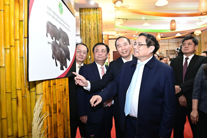 Thủ tướng thăm một số gian hàng, mô hình chăn nuôi được triển lãm bên ngoài hội nghị