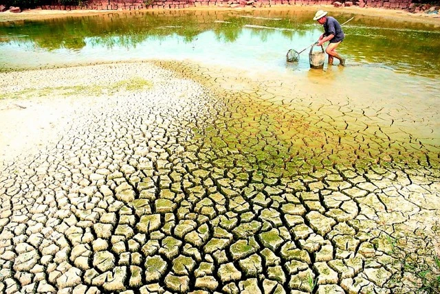 xâm nhập mặn.jpeg