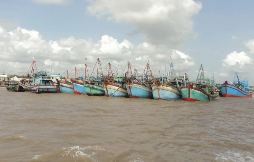 kiểm ngư