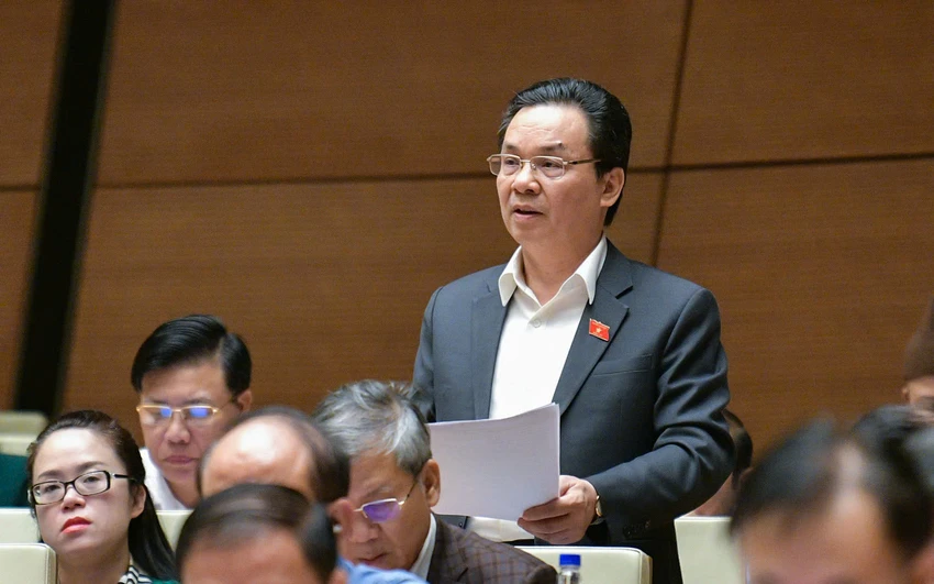 đại biểu quốc hội
