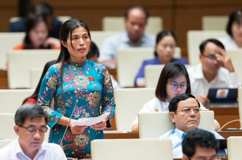 chất lượng rừng.jpg