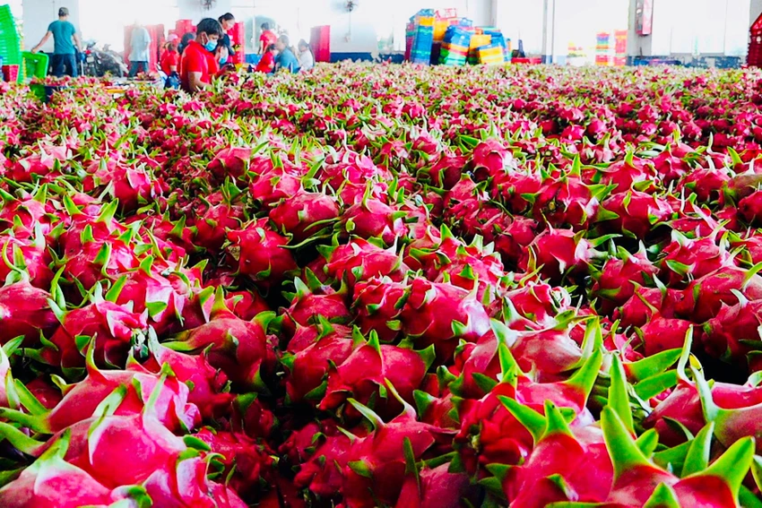 Bộ Nông nghiệp và Môi trường...jpg