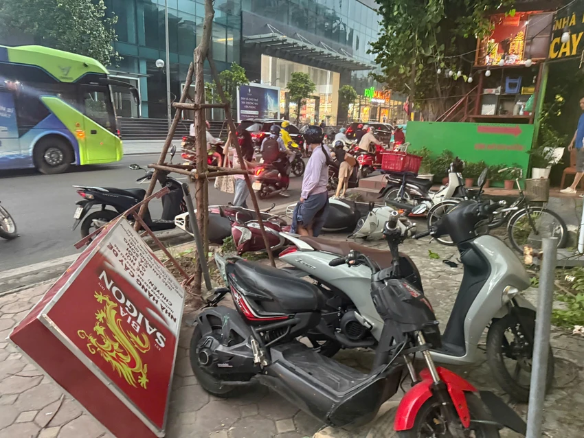 Hai người chết vì cây đổ.jpg