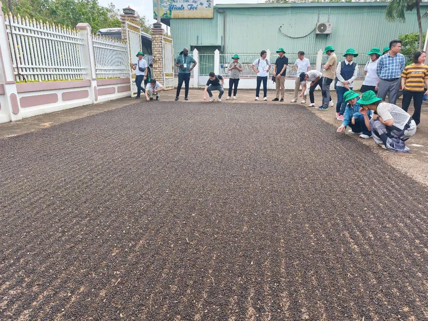thuế GTGT mới...jpg