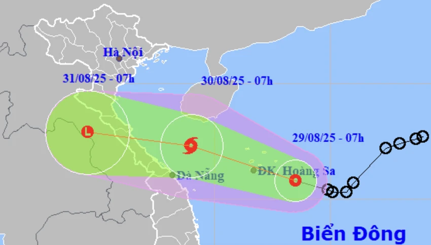 bão số 6