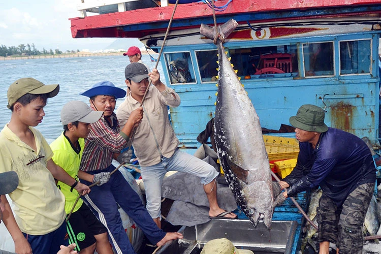 Bộ trưởng Nguyễn Hồng Diên.jpg