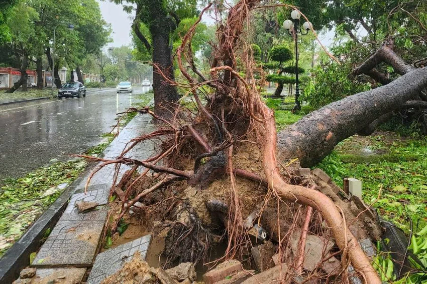 bão số 10.jpg