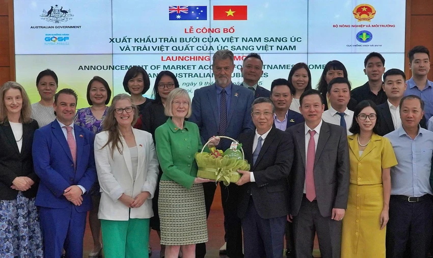 bưởi của Việt Nam..jpg