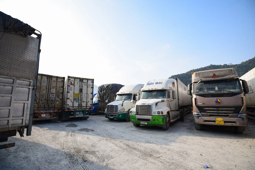 Container LS-1.jpg