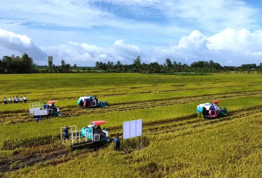 nong-nghiep-2-17748680634111024948407.png