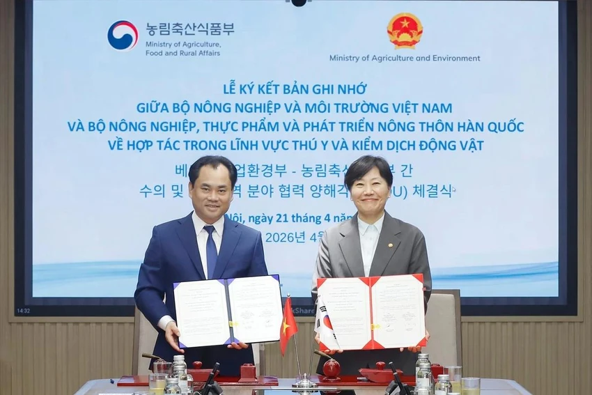 xuất khẩu thịt gà.jpg