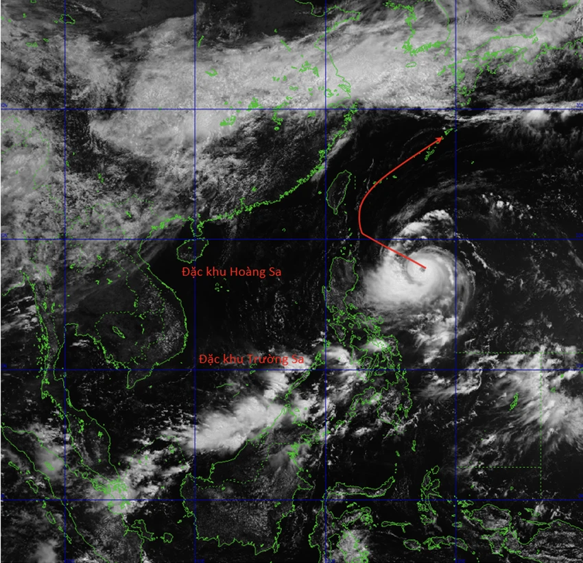 Ảnh màn hình 2026-06-22 lúc 15.00.59.png