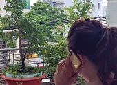 Thực hư về 'Lệnh bắt bị can để tạm giam' của Viện kiểm sát cấp cao Đà Nẵng