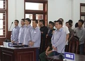 Sáng mai tuyên án vụ phá rừng pơ mu