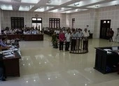 ĐBQH giám sát phiên tòa xử vụ buôn lậu gỗ quý 