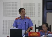 Vợ chồng giám đốc buôn lậu gỗ trắc bị đề nghị đến 14 năm tù