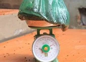 Ruồi đong bằng kg, dân chặn xe vào bãi rác Nam Sơn