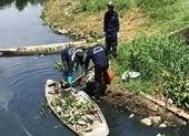 Cá chết trắng hồ ở Đà Nẵng