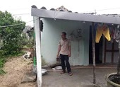 Rắc rối vụ án nghi mất cây mai cảnh