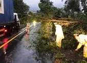 Đà Nẵng: Ngã hàng loạt cây xanh, giao thông hỗn loạn