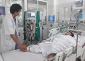 Hái nấm về ăn tối, 3 người trong 1 gia đình nguy kịch