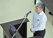 'Bị cáo chỉ là người khuân vác tiền đến các địa chỉ'