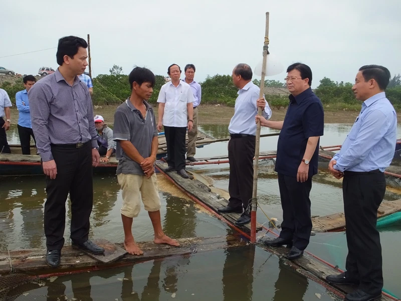 Cá chết ở miền Trung: Xử lý nghiêm nếu xả thải gây độc ảnh 1 Cá chết ở miền Trung: Xử lý nghiêm nếu xả thải gây độc ảnh 1