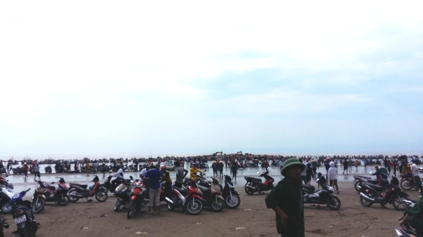 Hàng ngàn người dân hợp sức đưa cá voi về với biển ảnh 4 Hàng ngàn người dân hợp sức đưa cá voi về với biển ảnh 4