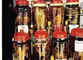 Rượu thuốc, bổ đâu chưa thấy chỉ thấy… bổ ngửa